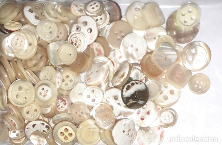 Antig&uuml;edades: 150 botones de nacar. Diversos tama&ntilde;os. - Foto 1