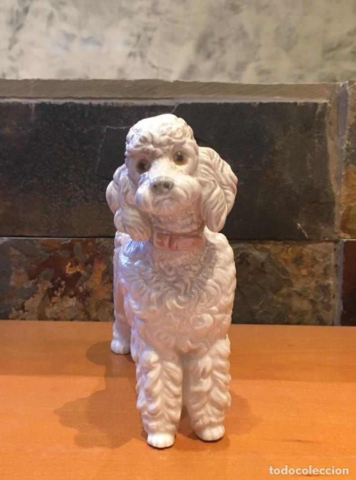 Antig&uuml;edades: LLADRO 1259 PERRO LANAS // POODLE - Foto 1