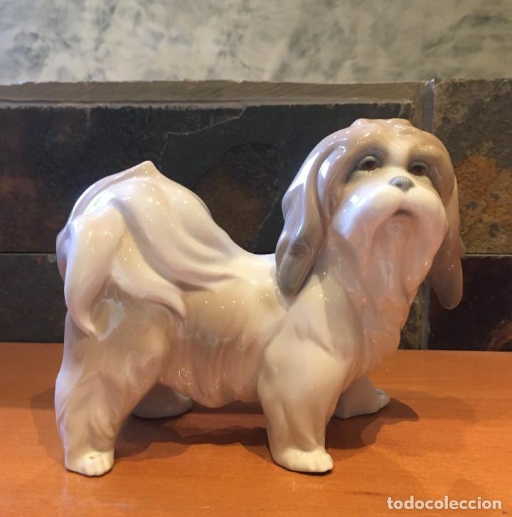 Antig&uuml;edades: LLADRO 4642 MOSTACHOS // DOG - Foto 1