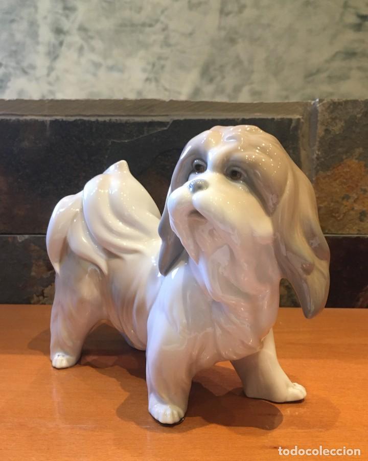Antig&uuml;edades: LLADRO 4642 MOSTACHOS // DOG - Foto 2