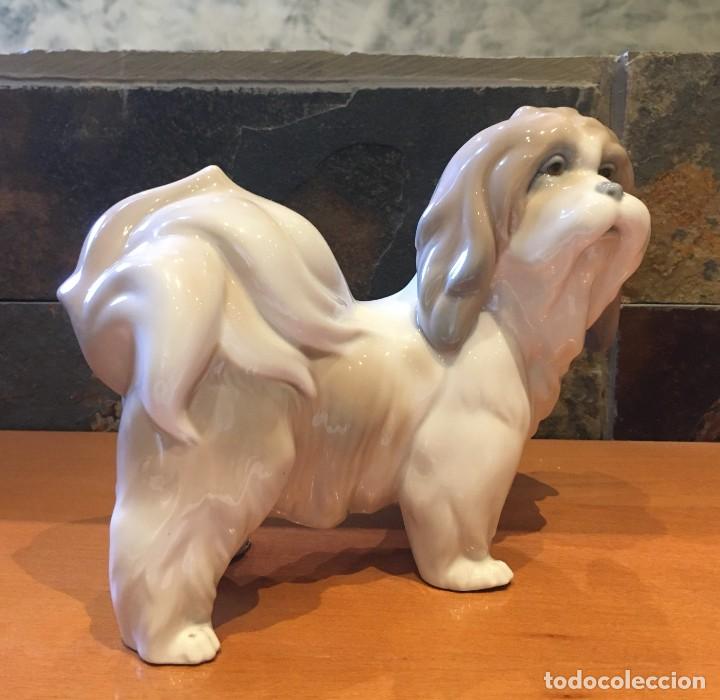 Antig&uuml;edades: LLADRO 4642 MOSTACHOS // DOG - Foto 6