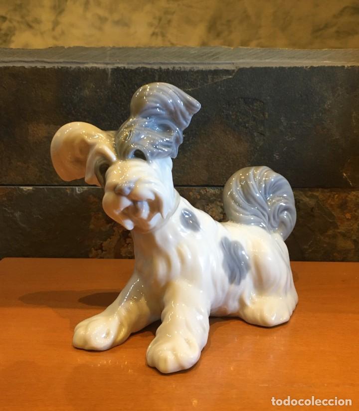 Antig&uuml;edades: LLADRO 4643 TERRIER // SKYE TERRIER - Foto 1