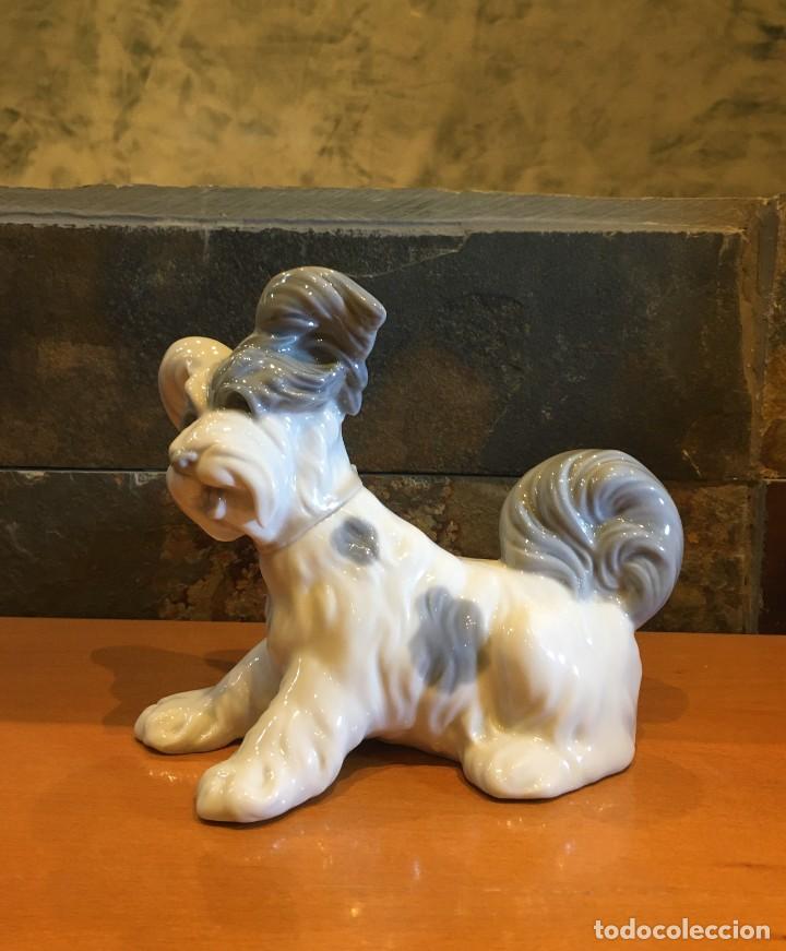 Antig&uuml;edades: LLADRO 4643 TERRIER // SKYE TERRIER - Foto 2
