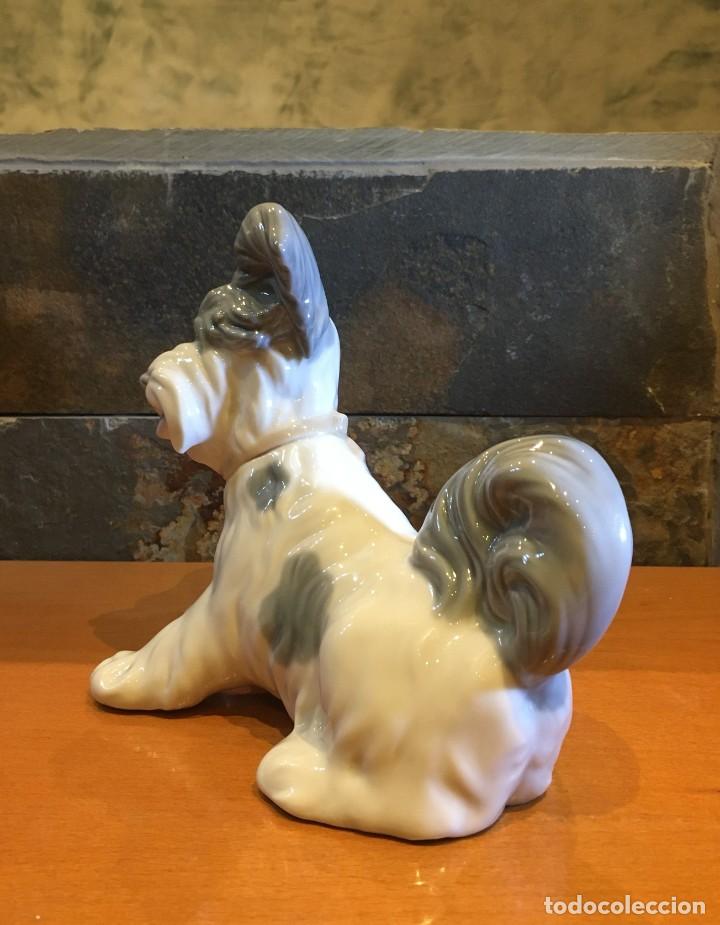 Antig&uuml;edades: LLADRO 4643 TERRIER // SKYE TERRIER - Foto 3
