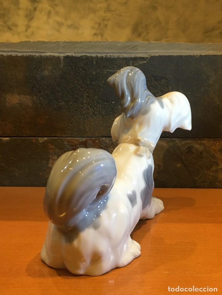 Antig&uuml;edades: LLADRO 4643 TERRIER // SKYE TERRIER - Foto 4