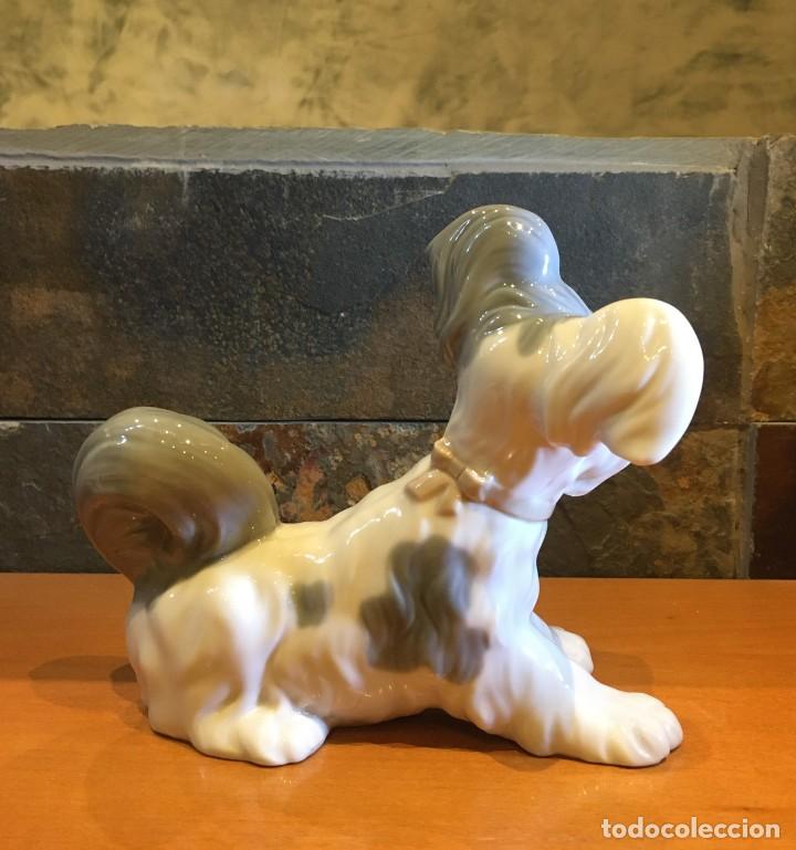 Antig&uuml;edades: LLADRO 4643 TERRIER // SKYE TERRIER - Foto 5
