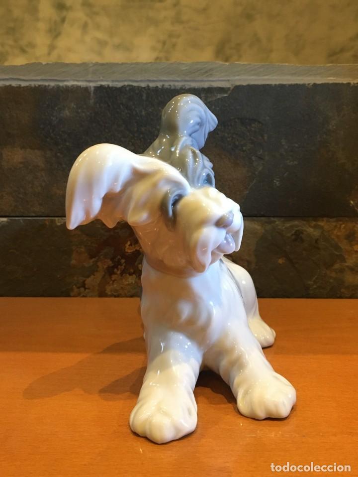 Antig&uuml;edades: LLADRO 4643 TERRIER // SKYE TERRIER - Foto 6