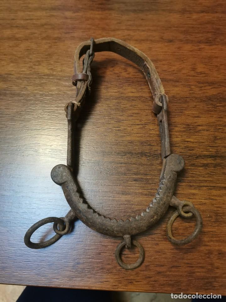 Antig&uuml;edades: Bocado antiguo de caballo - Foto 1