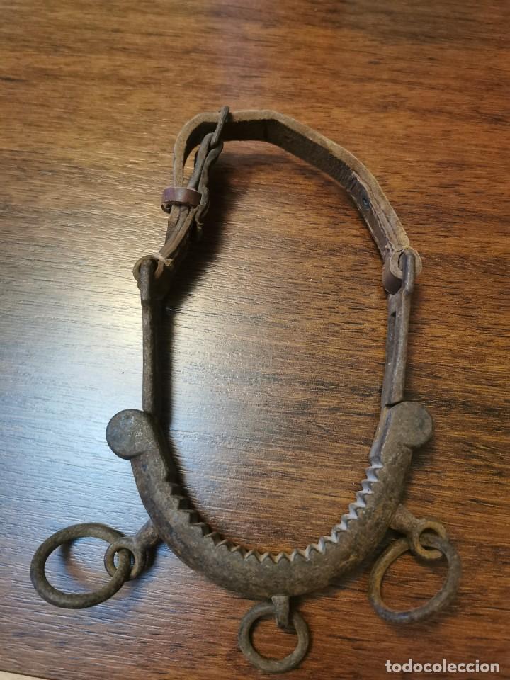 Antig&uuml;edades: Bocado antiguo de caballo - Foto 3