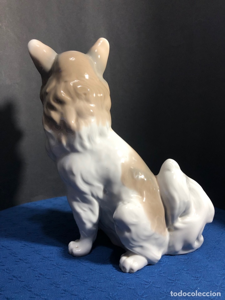 Antig&uuml;edades: REF: 02000103 &ldquo;PERRO MARIPOSA GRANDE&rdquo; NAO-LLADR&Oacute; - Foto 10