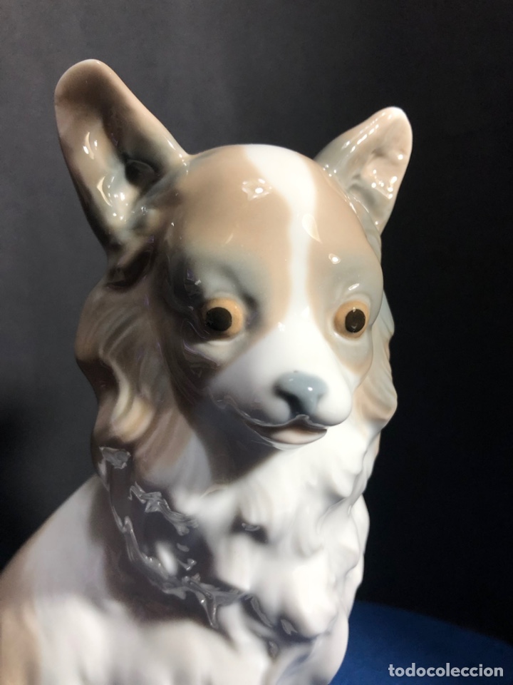 Antig&uuml;edades: REF: 02000103 &ldquo;PERRO MARIPOSA GRANDE&rdquo; NAO-LLADR&Oacute; - Foto 11