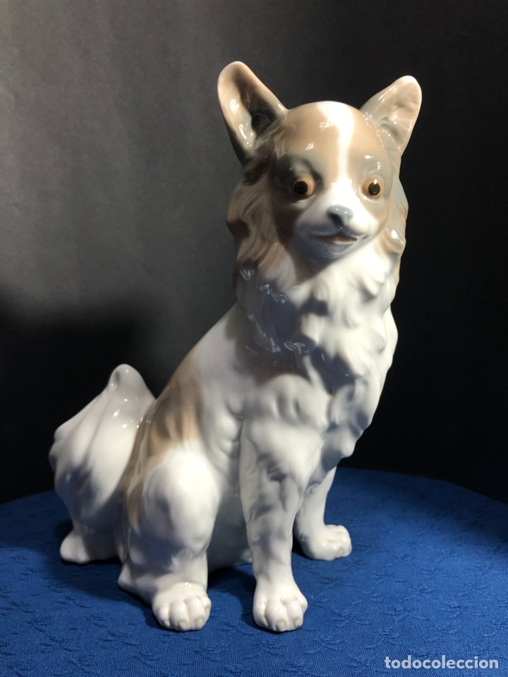 Antig&uuml;edades: REF: 02000103 &ldquo;PERRO MARIPOSA GRANDE&rdquo; NAO-LLADR&Oacute; - Foto 8