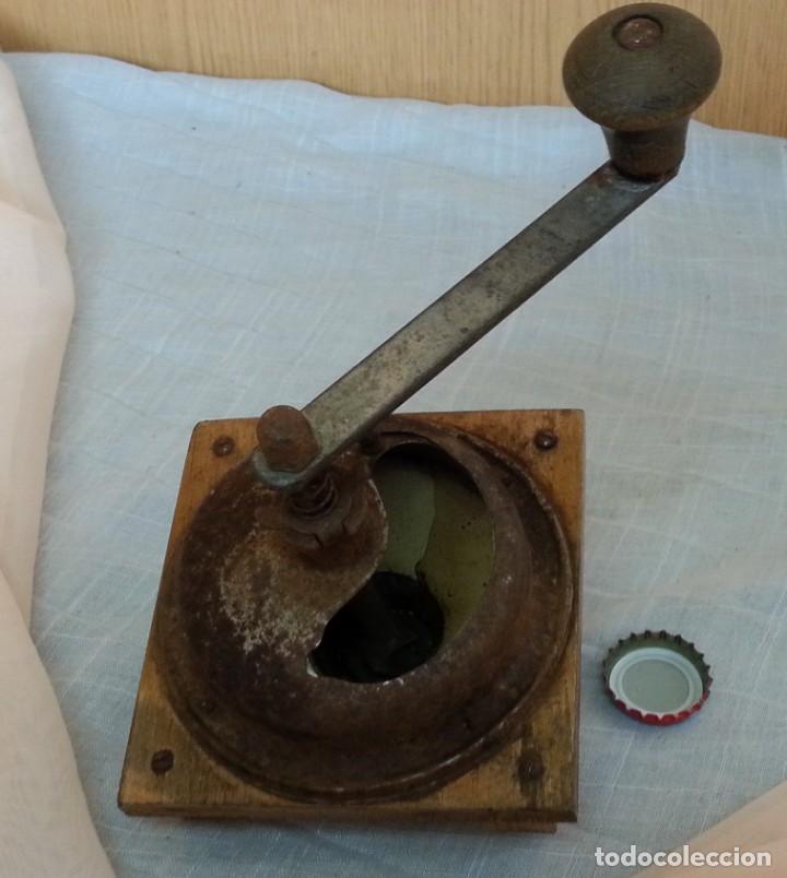 Antiques: Tapa de Molinillo antiguo de caf&eacute; para reutilizar.