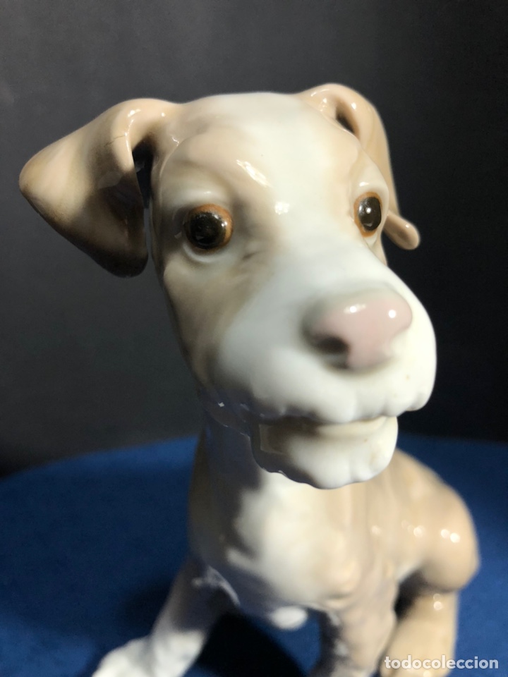 Antig&uuml;edades: REF: 01004583 &ldquo;PERRO Tipo 31&rdquo; LLADR&Oacute; - Foto 12