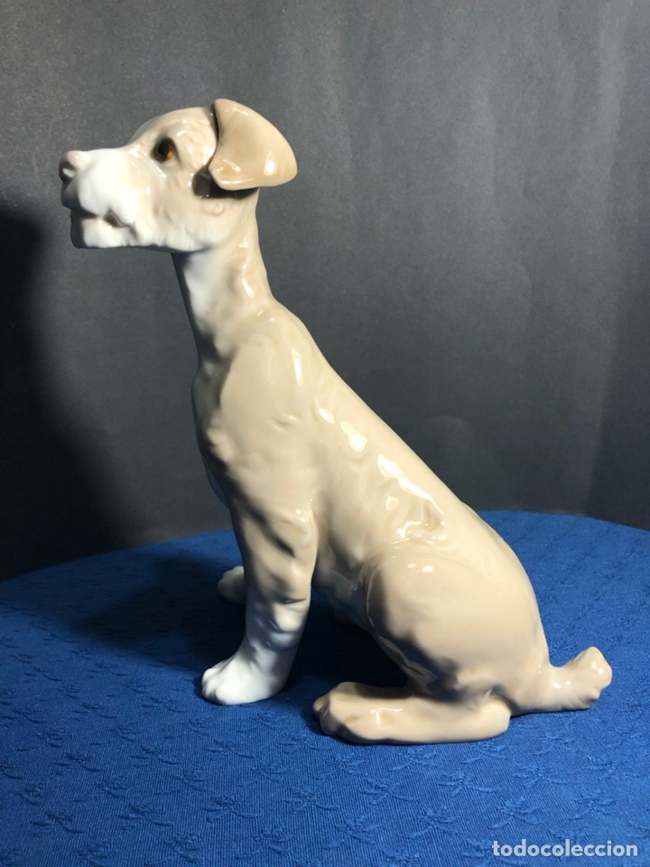 Antig&uuml;edades: REF: 01004583 &ldquo;PERRO Tipo 31&rdquo; LLADR&Oacute; - Foto 16