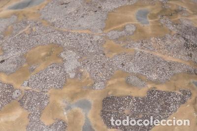 Antig&uuml;edades: Conjunto de cinco bolas de marmol del Siglo XX - Foto 3