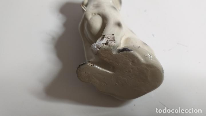 Antig&uuml;edades: Figuras decorativas. 3 Perros d&aacute;lmatas - Foto 8