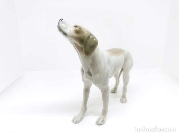 Antig&uuml;edades: Figura de perro de porcelana - Foto 1