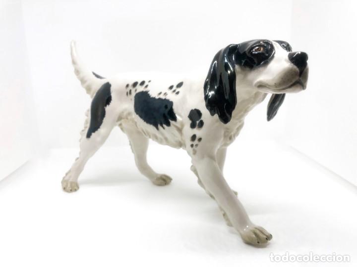 Antig&uuml;edades: Jaur&iacute;a de cinco perros de porcelana - Foto 6