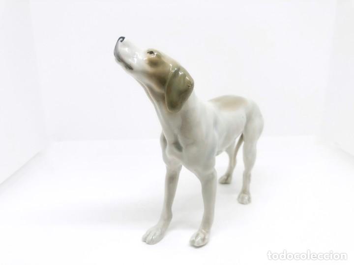 Antig&uuml;edades: Jaur&iacute;a de cinco perros de porcelana - Foto 8