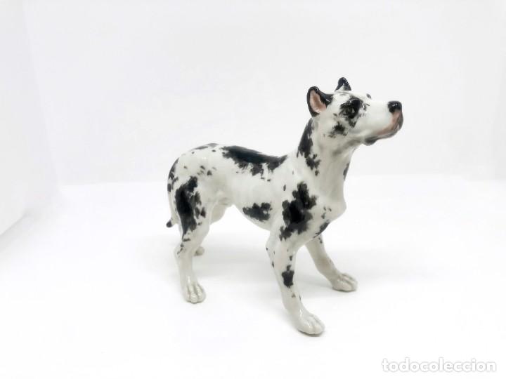 Antig&uuml;edades: Jaur&iacute;a de cinco perros de porcelana - Foto 15