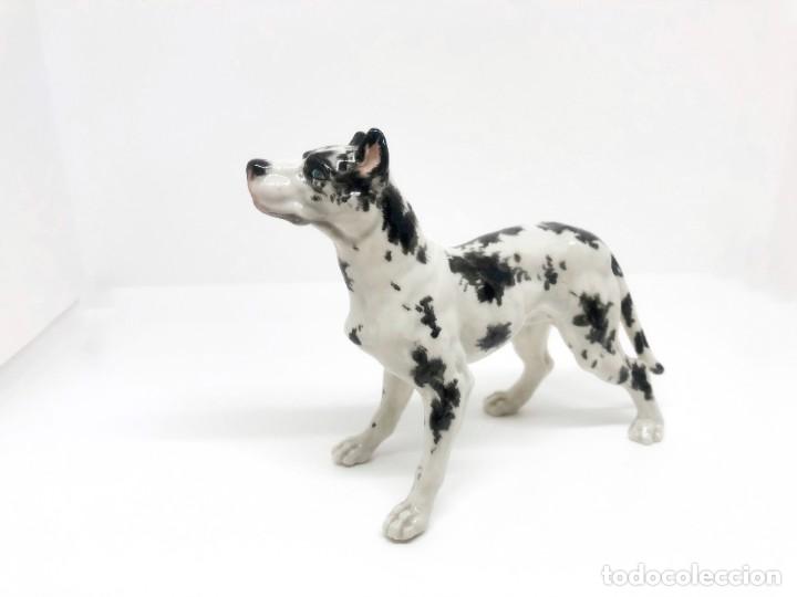 Antig&uuml;edades: Jaur&iacute;a de cinco perros de porcelana - Foto 12