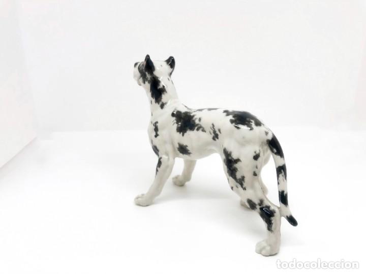 Antig&uuml;edades: Jaur&iacute;a de cinco perros de porcelana - Foto 13
