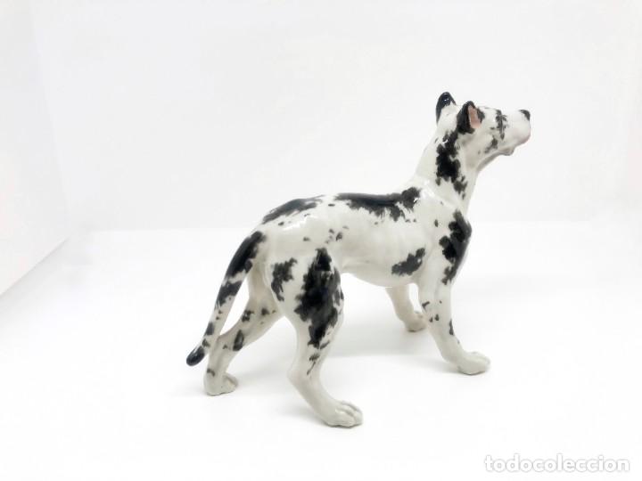 Antig&uuml;edades: Jaur&iacute;a de cinco perros de porcelana - Foto 14