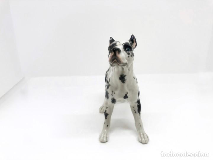 Antig&uuml;edades: Jaur&iacute;a de cinco perros de porcelana - Foto 16