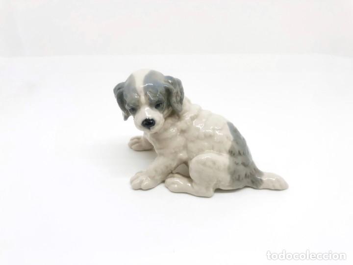 Antig&uuml;edades: Jaur&iacute;a de cinco perros de porcelana - Foto 17