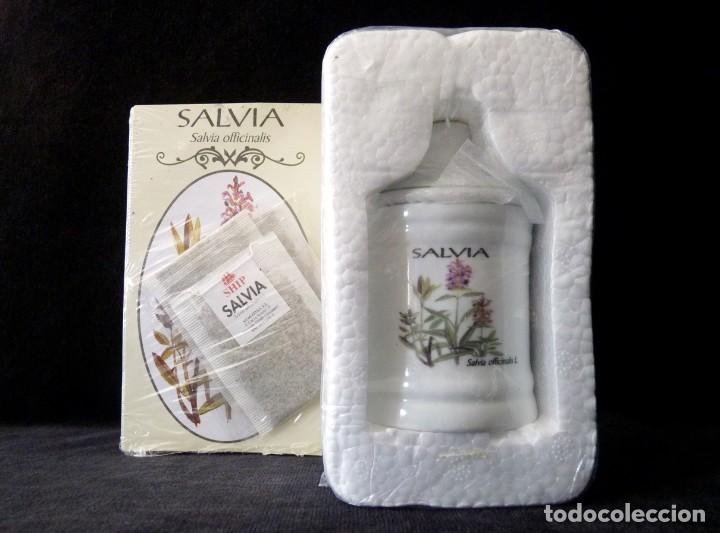 Antiquit&eacute;s: SALVIA. PEQUE&Ntilde;O BOTE O TARRO DE PORCELANA, CON TAPADERA + INFUSI&Oacute;N. 9,5 cm. NUEVO (4)