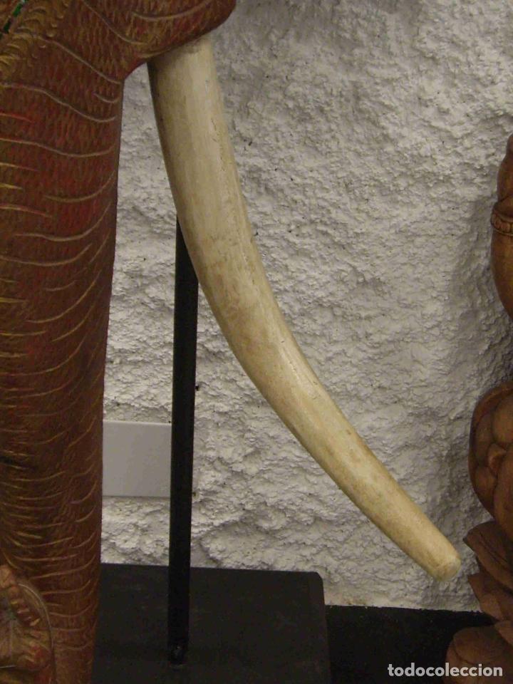 Antig&uuml;edades: CABEZA DE ELEFANTE XL MARR&Oacute;N - Foto 8