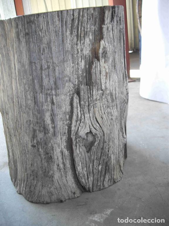 Antig&uuml;edades: PEDESTAL MADERA FOSILIZADA - Foto 4