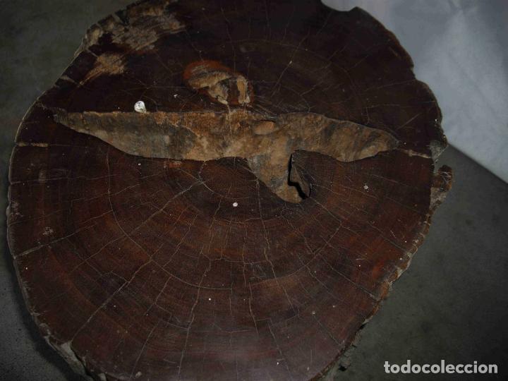 Antig&uuml;edades: PEDESTAL MADERA FOSILIZADA - Foto 6