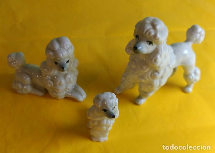 Antig&uuml;edades: FAMILIA CANICHE DE PORCELANA.