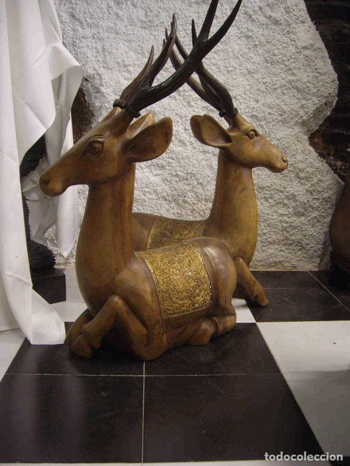 Antig&uuml;edades: PAREJA DE CIERVOS MADERA - Foto 6