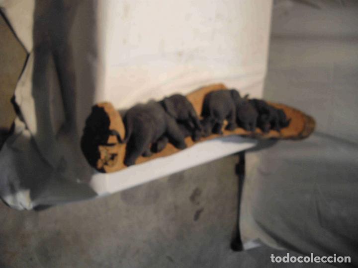 Antig&uuml;edades: TALLA TRONCO 5 ELEFANTES 160 cm - Foto 6