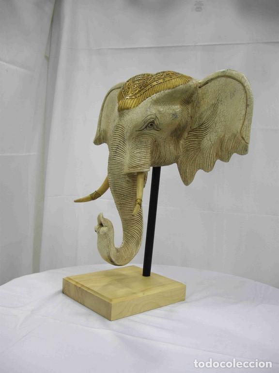 Antig&uuml;edades: CABEZA ELEFANTE M - Foto 2