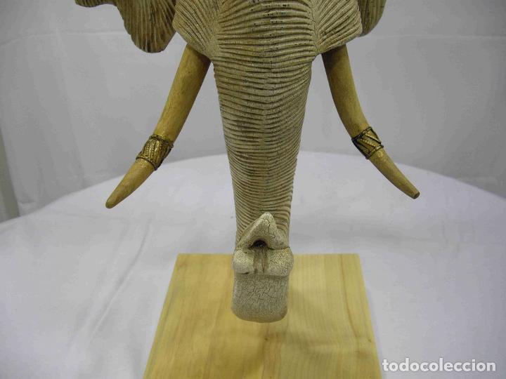 Antig&uuml;edades: CABEZA ELEFANTE M - Foto 6