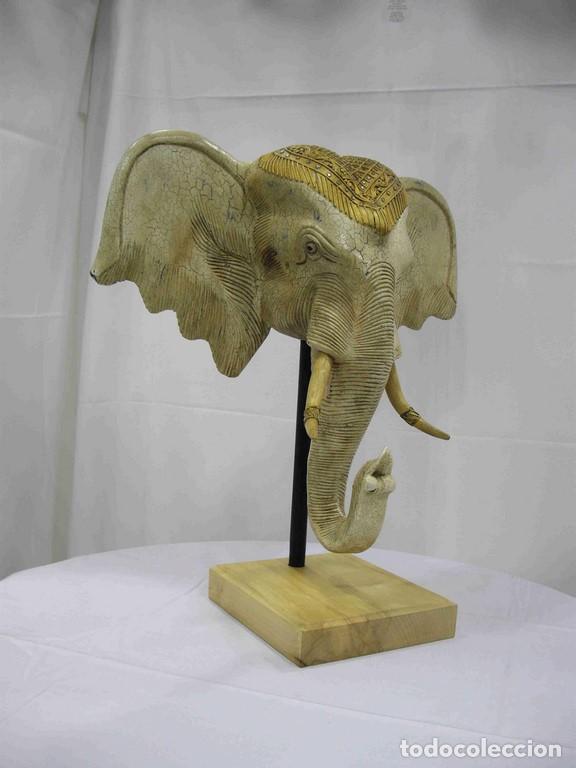 Antig&uuml;edades: CABEZA ELEFANTE M - Foto 1