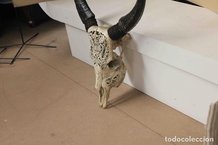 Antig&uuml;edades: CRANEO BUFALO TALLADO BLANCO - Foto 4