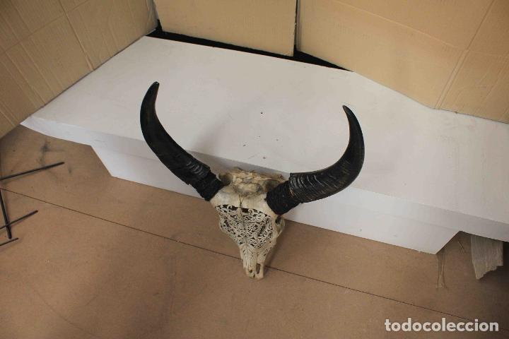 Antig&uuml;edades: CRANEO BUFALO TALLADO BLANCO - Foto 5