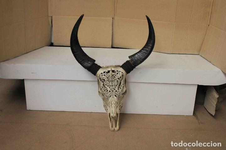 Antig&uuml;edades: CRANEO BUFALO TALLADO BLANCO - Foto 1