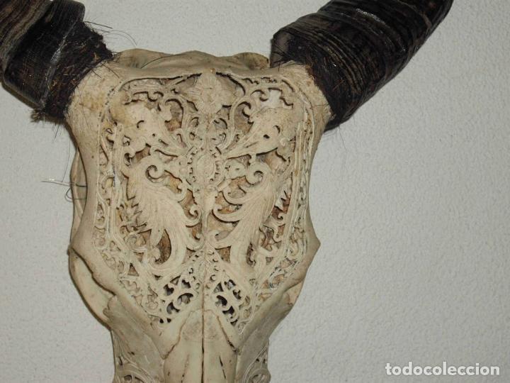 Antig&uuml;edades: VACA CUERNOS SUCIOS - Foto 2
