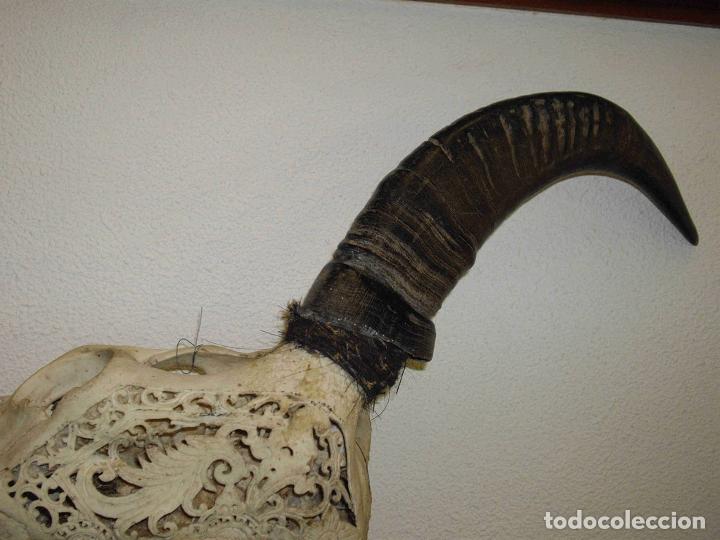 Antig&uuml;edades: VACA CUERNOS SUCIOS - Foto 4
