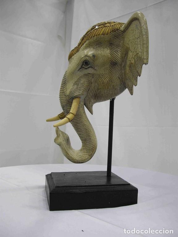Antig&uuml;edades: CABEZA ELEFANTE MINI - Foto 2