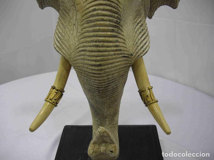 Antig&uuml;edades: CABEZA ELEFANTE MINI - Foto 4