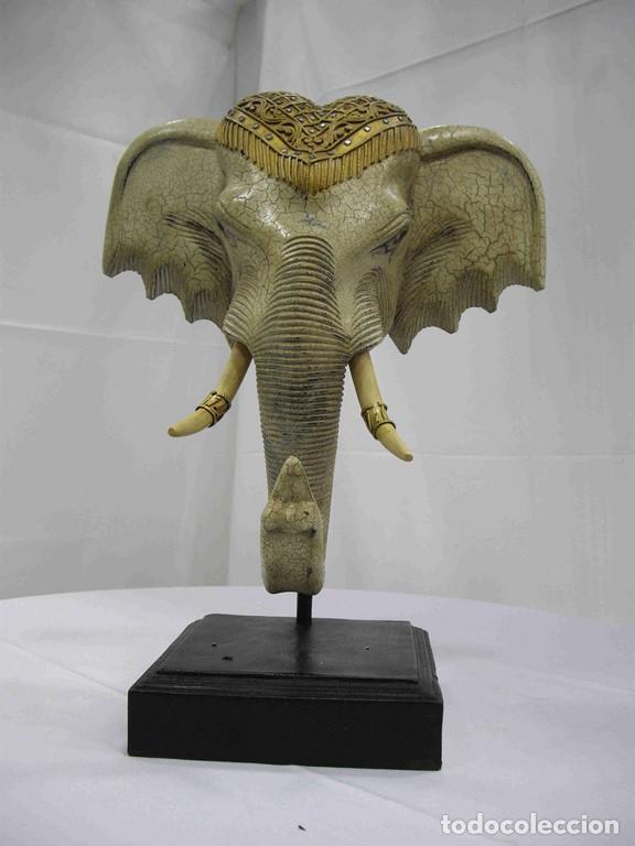 Antig&uuml;edades: CABEZA ELEFANTE MINI - Foto 1