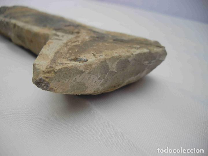 Antig&uuml;edades: FOSIL PEZ - Foto 3