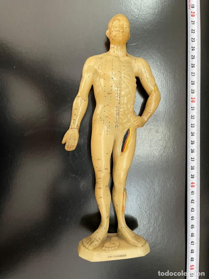 Antig&uuml;edades: Figura acupuntura - Foto 1